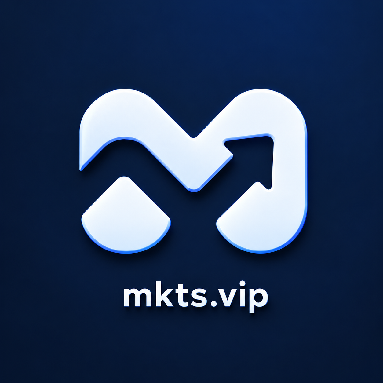 MKTS数字资产标志