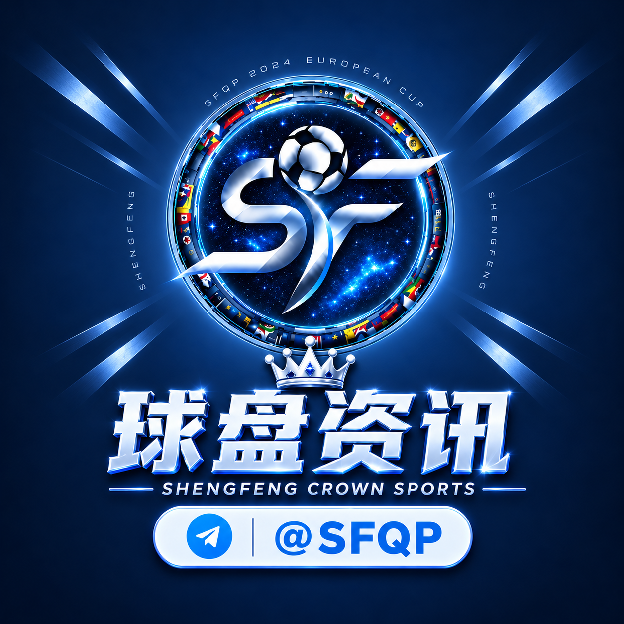 盛丰球盘标志